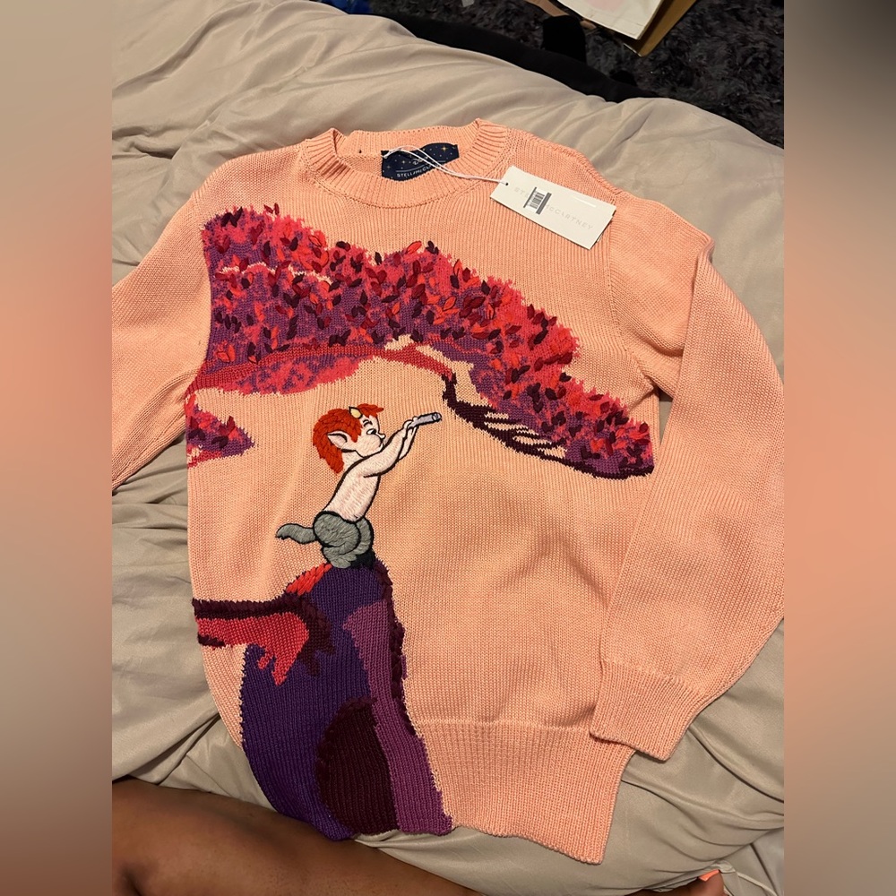Stella McCartney sweater Disney